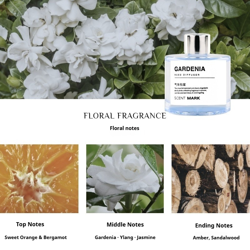 Set Reed Diffuser 50ml Minyak  - Home Fragrance Jasmine Diffuser ulasan dan harga