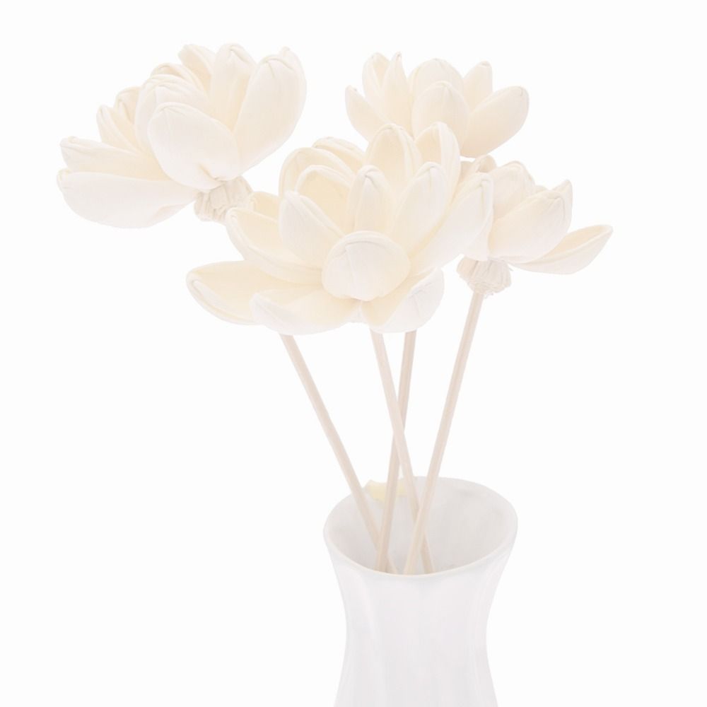 Bunga Aromaterapi untuk Rumah, - Home Fragrance Incense Sticks ulasan dan harga