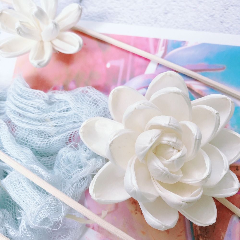 Bunga Aromaterapi untuk Rumah, - Home Fragrance Incense Sticks ulasan dan harga
